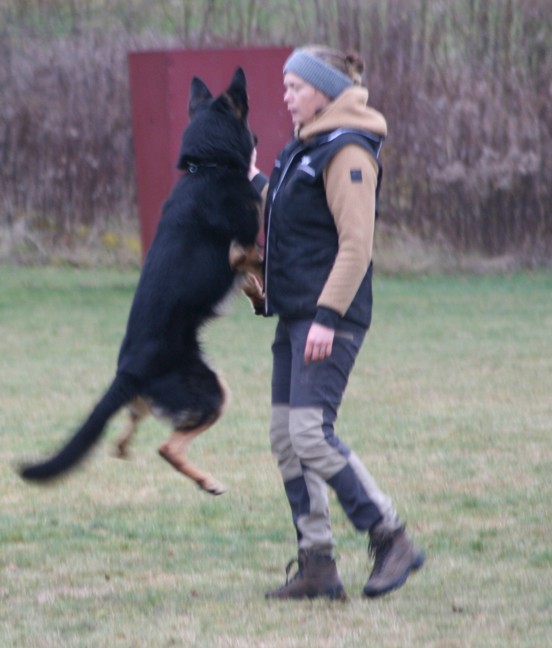 Foto Wilma