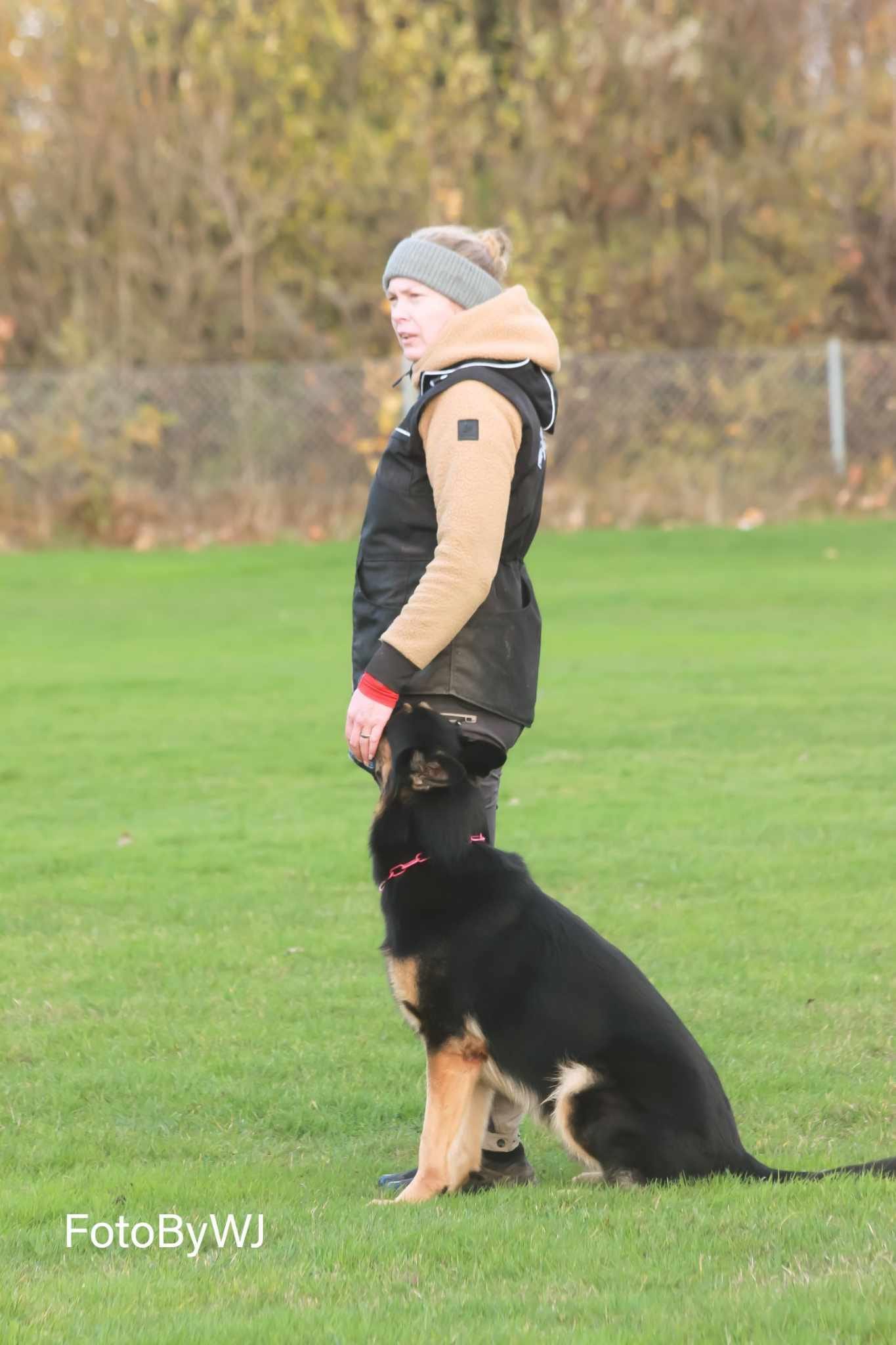 Foto Wilma