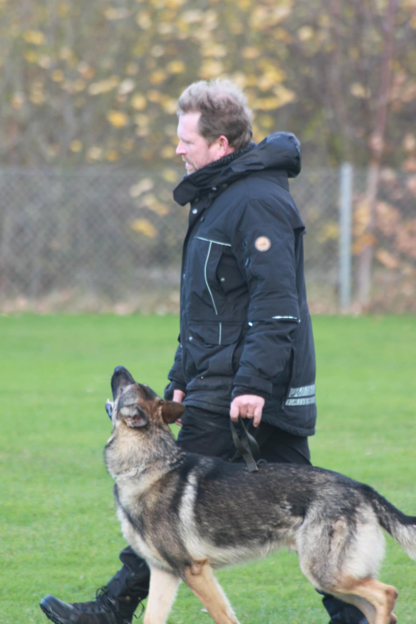 Foto Wilma