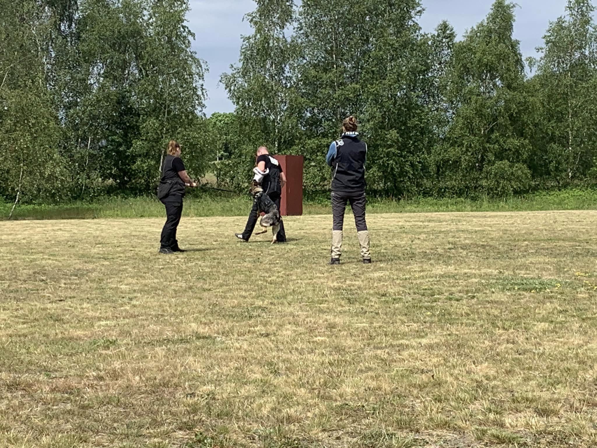 Foto Fredrik