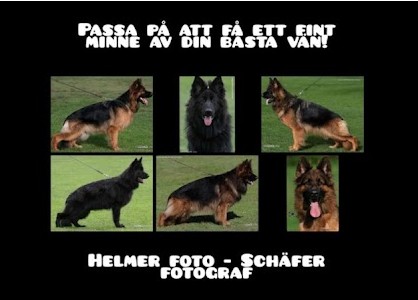 Foto Wilma
