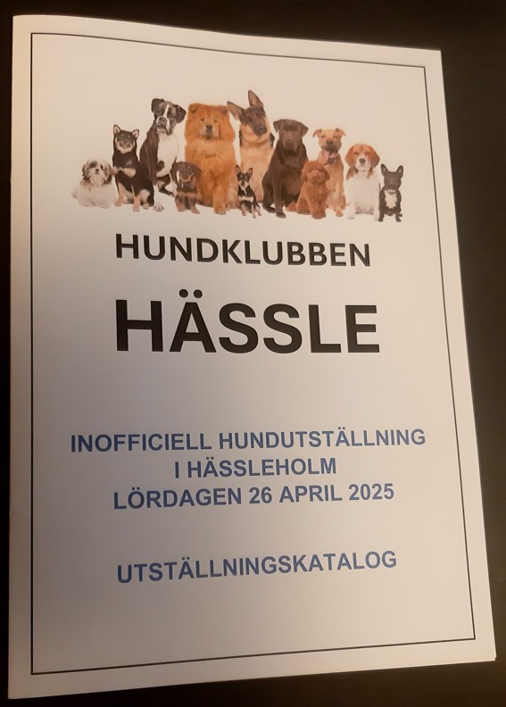 Utställningskatalog 2025