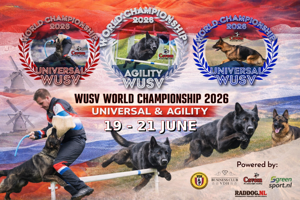 wusv 2026