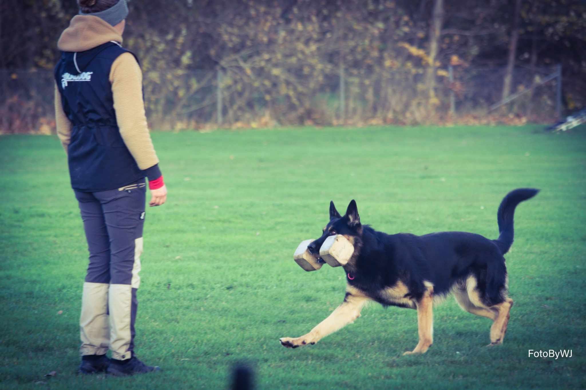 Foto Wilma