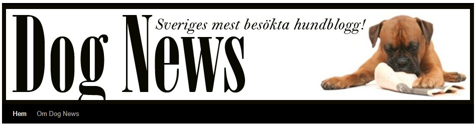 Dog News