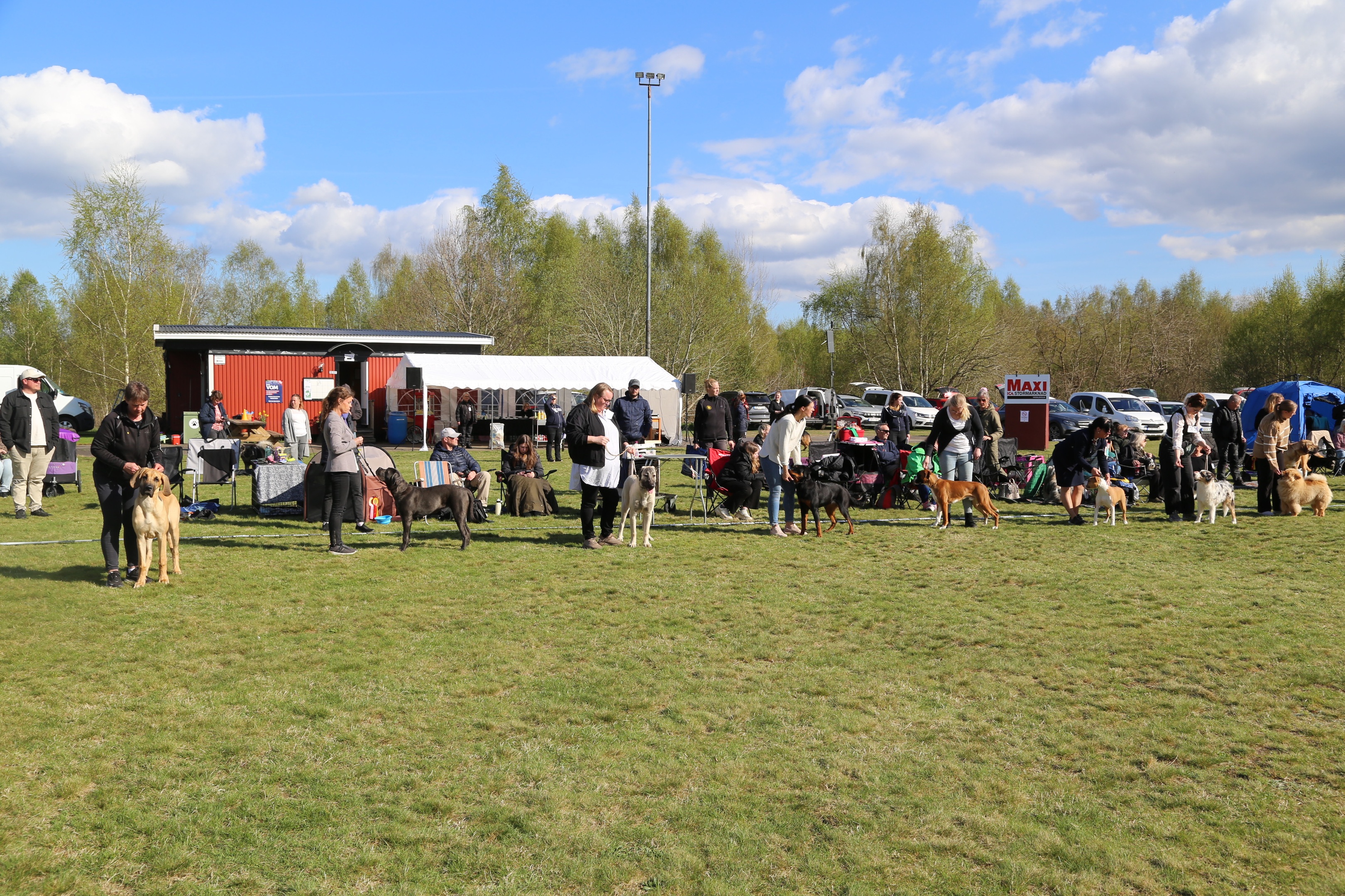 Från hundutställning 2024