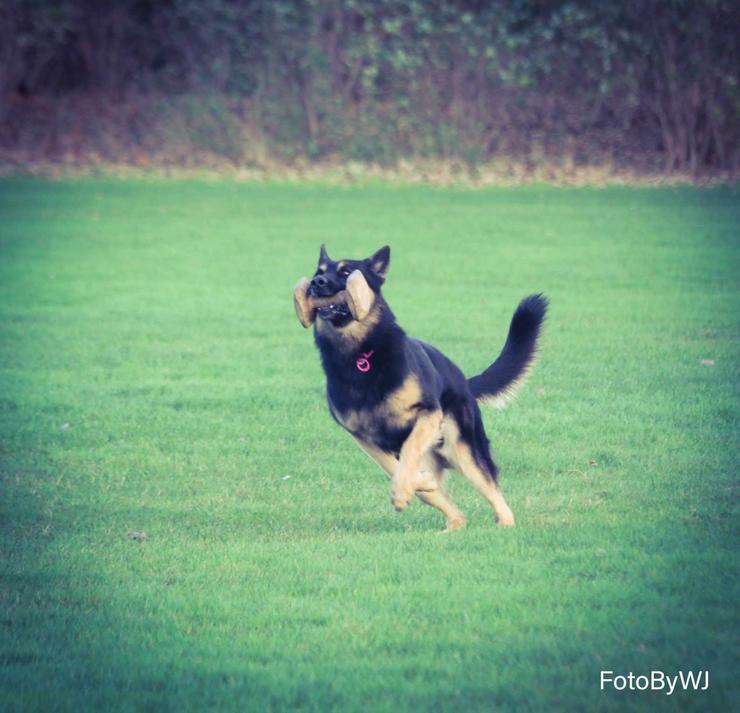 Foto Wilma