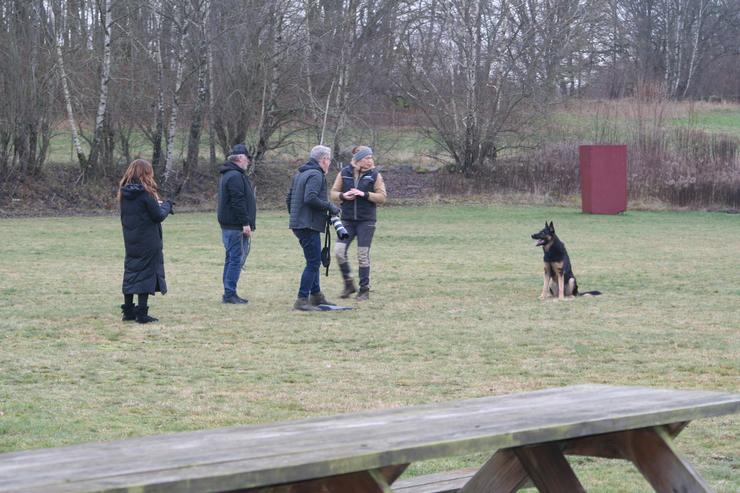Foto Wilma