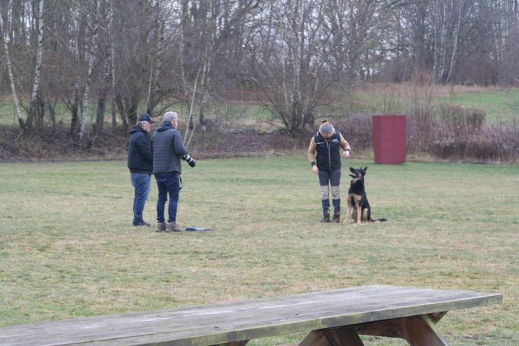 Foto Wilma