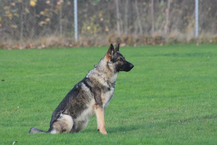 Foto Wilma